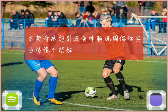 东契奇抱怨引发黄蜂解说调侃称其性格像个怨妇