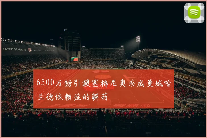 6500万镑引援塞梅尼奥或成曼城哈兰德依赖症的解药