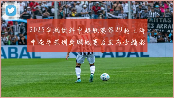 2025华润饮料中超联赛第29轮上海申花与深圳新鹏城赛后发布会精彩回顾与分析